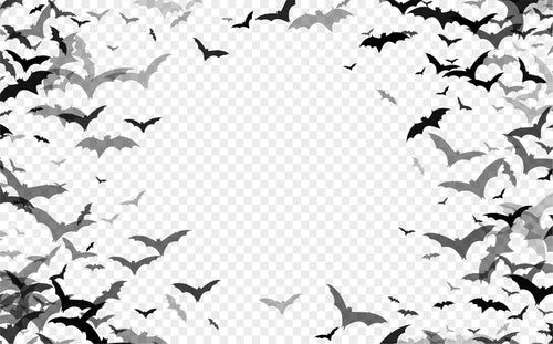 Bat Silhouette Overlay