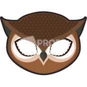Load image into Gallery viewer, Owl Mask 2