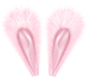 Pink Satin Bunny Ears