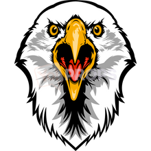Load image into Gallery viewer, Eagle Head 2
