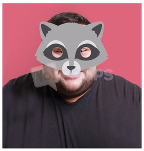 Raccoon Mask 1