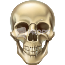 Load image into Gallery viewer, Skull Head