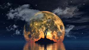 Spooky Tree Full Moon Background